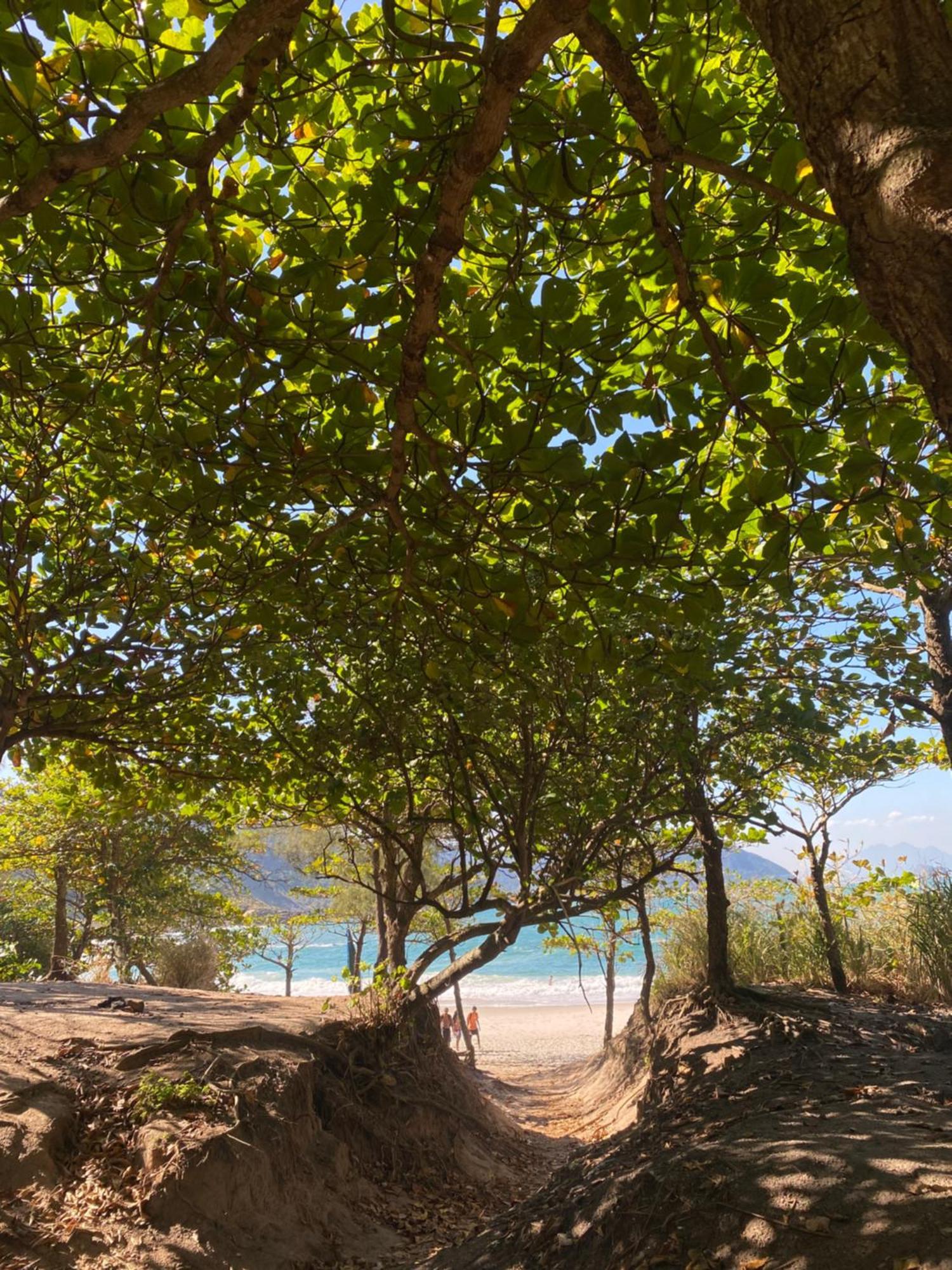 Alto Da Prainha Rio de Janeiro